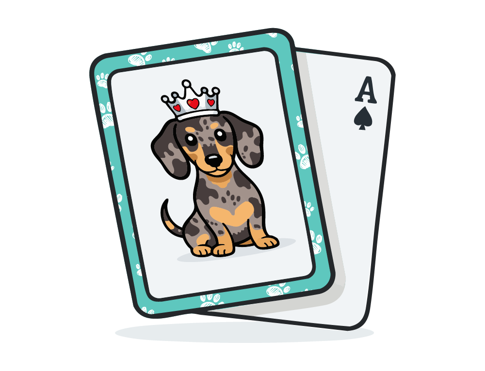 Playing Cards