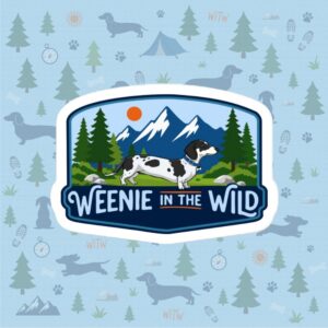 A flat, digital mockup of a custom-shaped vinyl sticker against a light blue themed background pattern. The sticker features the "Weenie in the Wild" emblem, showcasing a black and white dapple dachshund wearing a blue collar in a mountain landscape with evergreen trees and an orange sun.